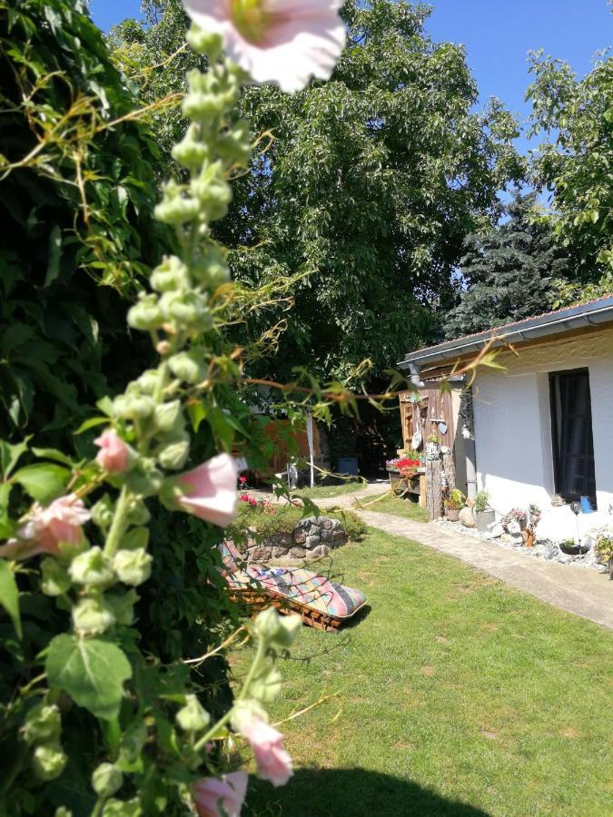 Bungalow Bei Warnemuende Elmenhorst/Lichtenhagen ภายนอก รูปภาพ